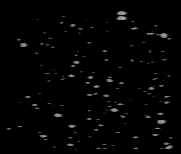 Particle Image Sequence